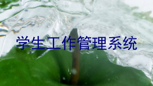 学生工作管理系统