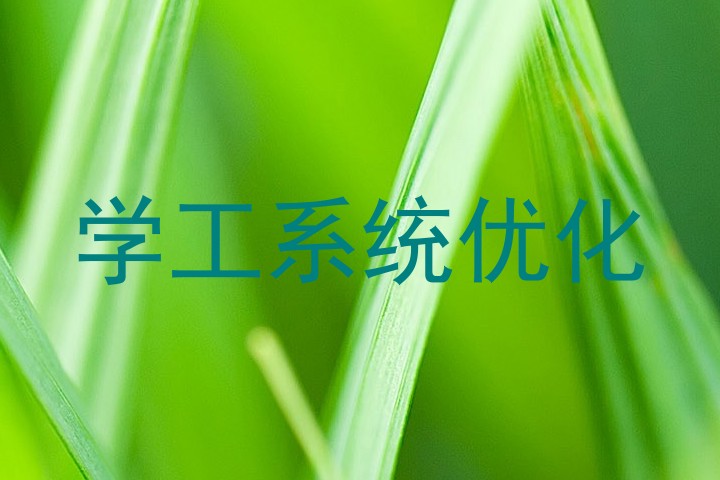 学工系统优化