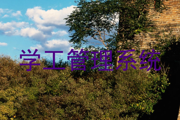 学工管理系统