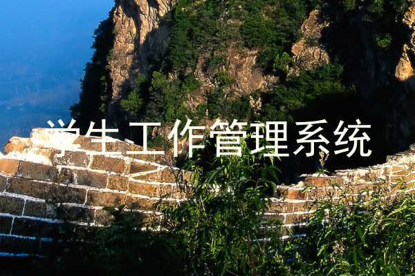 学生工作管理系统