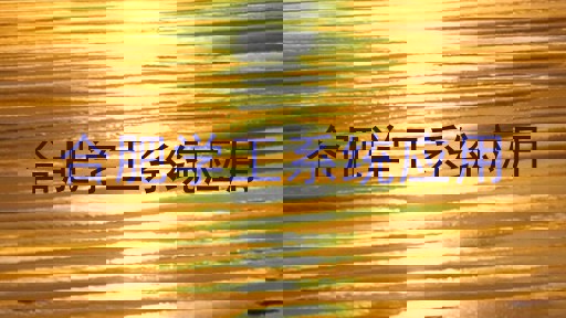 合肥学工系统应用