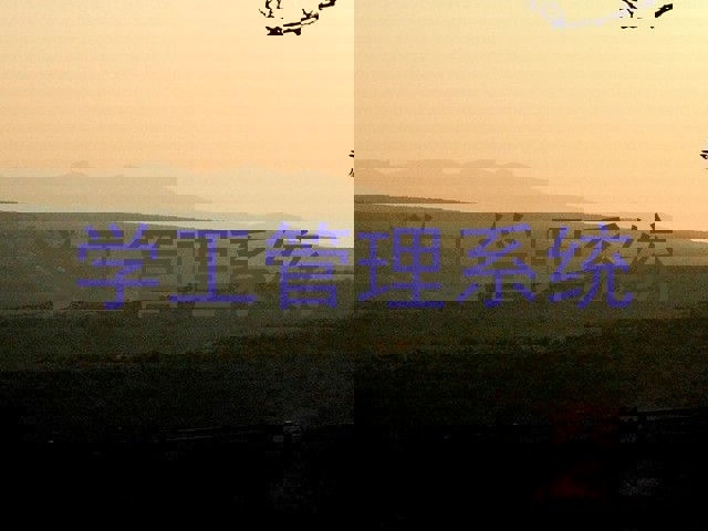 学工管理系统