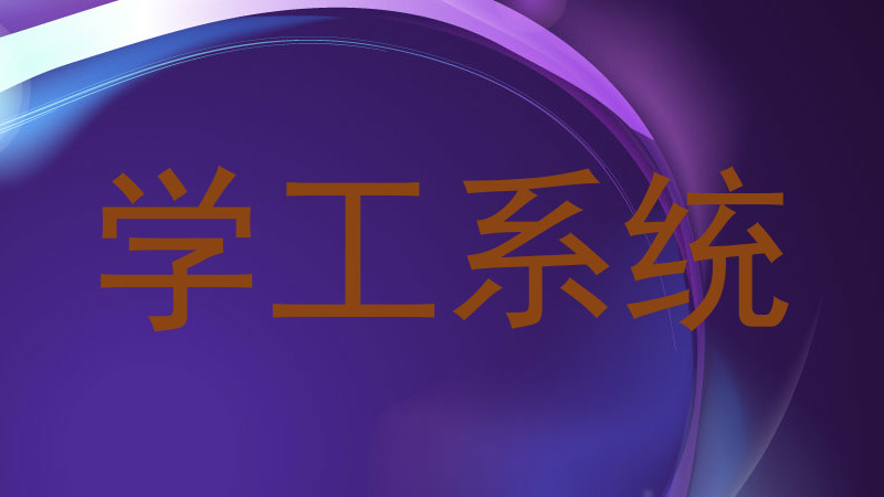 学工系统