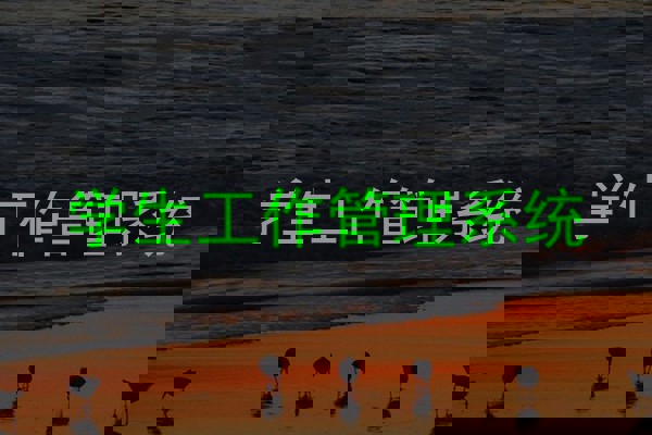 学生工作管理系统