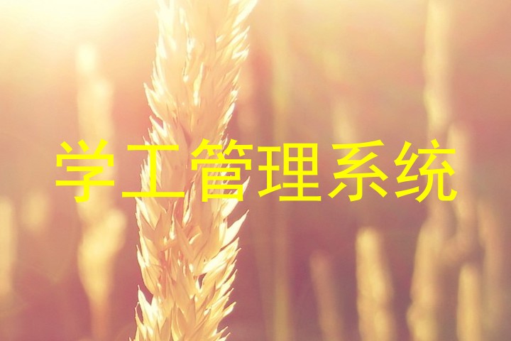 学工管理系统