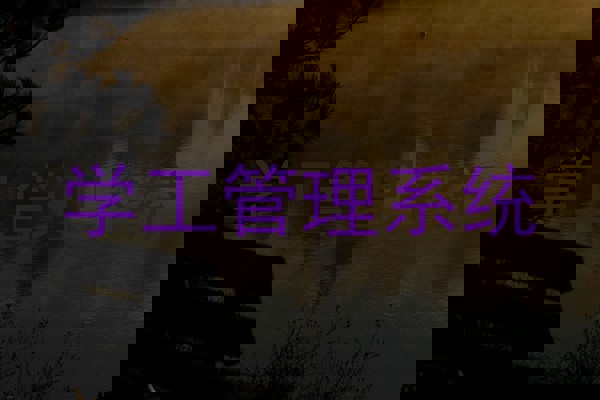 学工管理系统