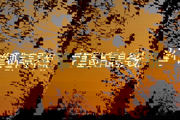学生管理信息系统