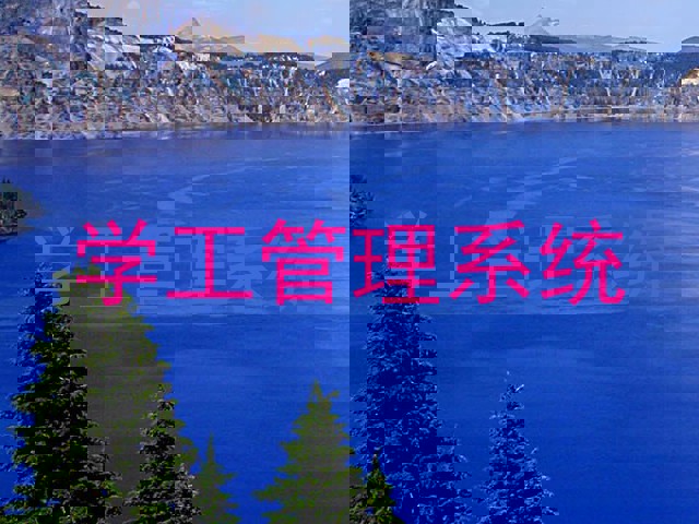 学工管理系统