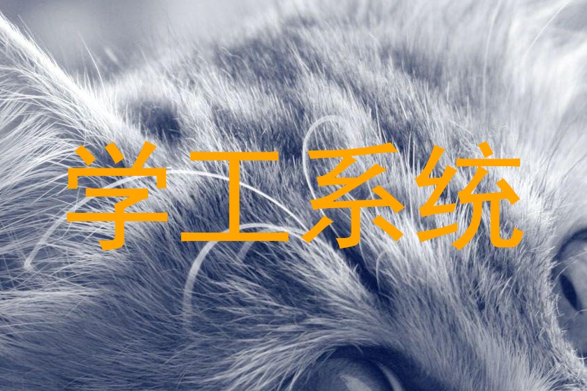 学工系统