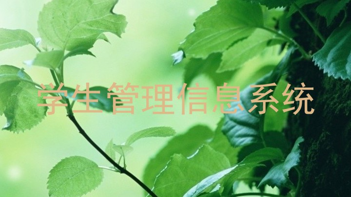 学生管理信息系统
