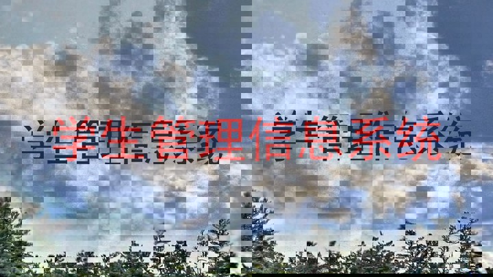 学生管理信息系统