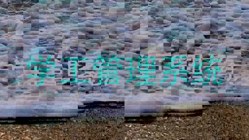 学工管理系统