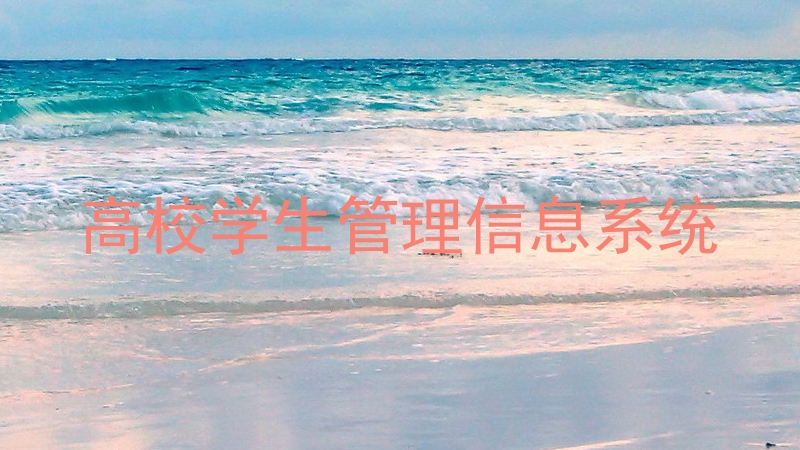 高校学生管理信息系统