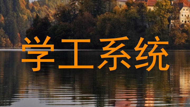 学工系统
