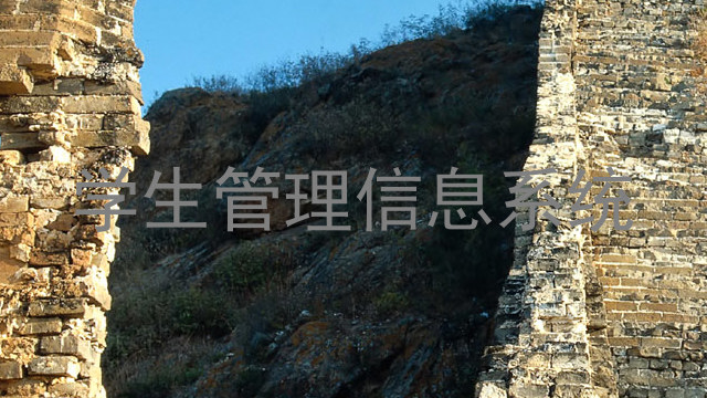 学生管理信息系统