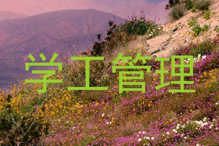 学工管理