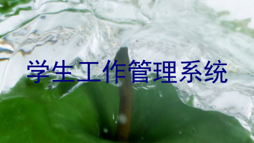 学生工作管理系统