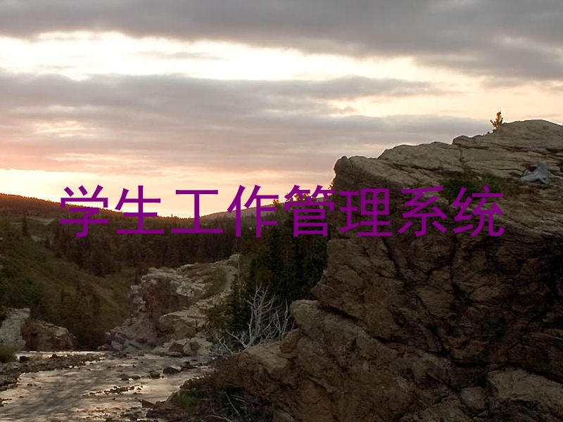 学生工作管理系统