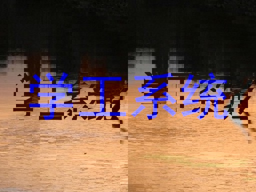 学工系统