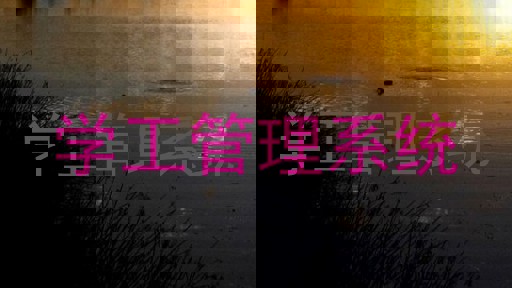 学工管理系统