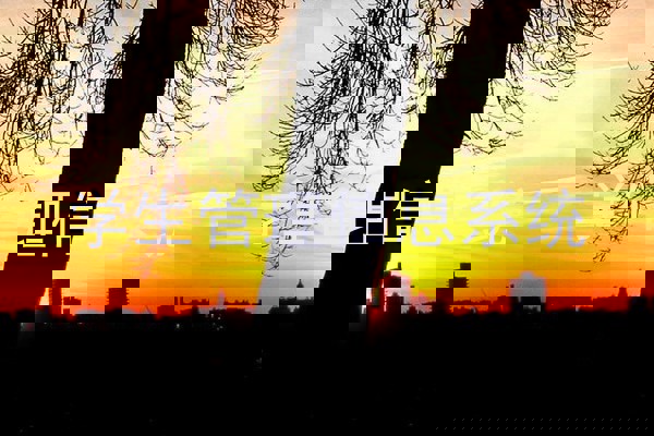 学生管理信息系统