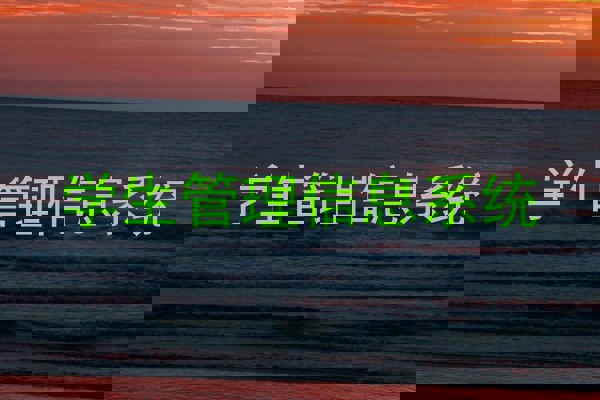 学生管理信息系统