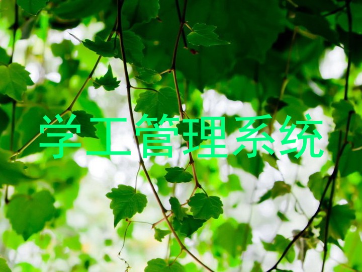 学工管理系统