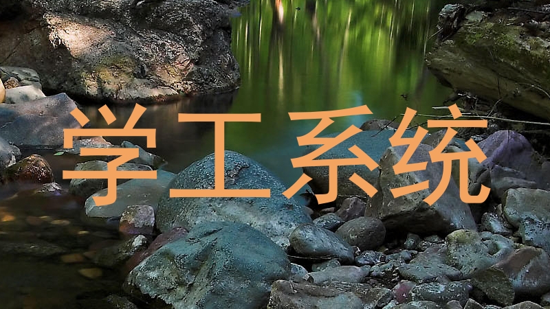 学工系统