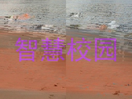 智慧校园