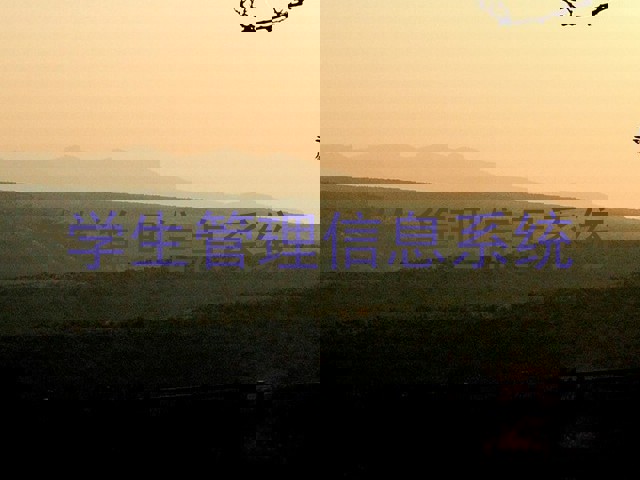 学生管理信息系统