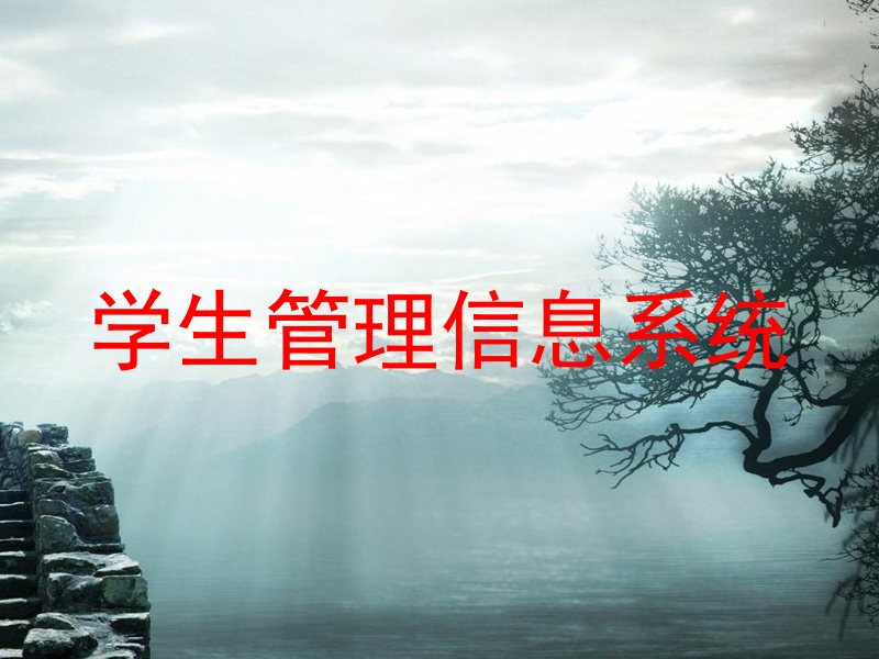 学生管理信息系统
