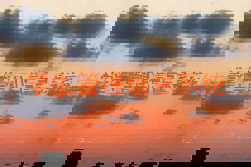 学生管理信息系统