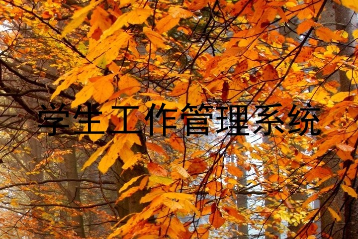 学生工作管理系统