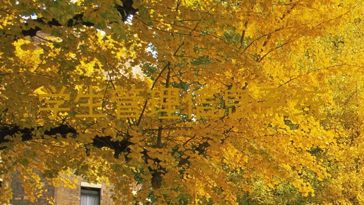 学生管理信息系统