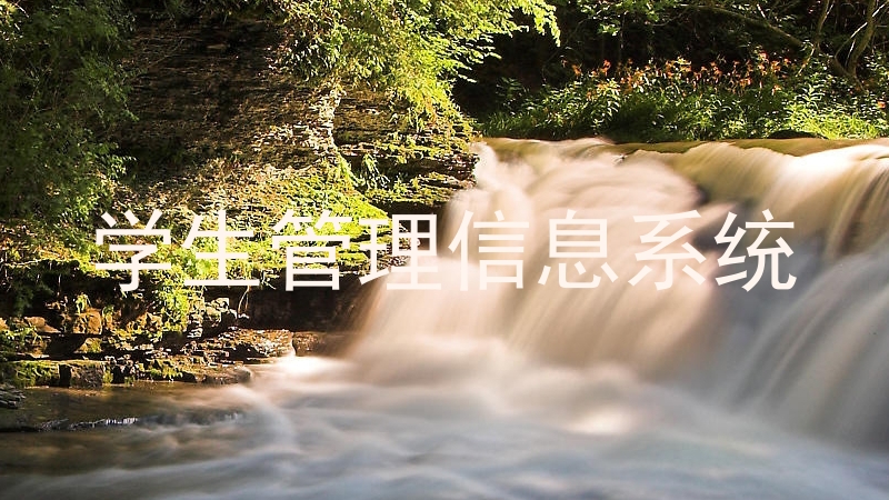 学生管理信息系统