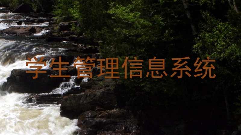 学生管理信息系统