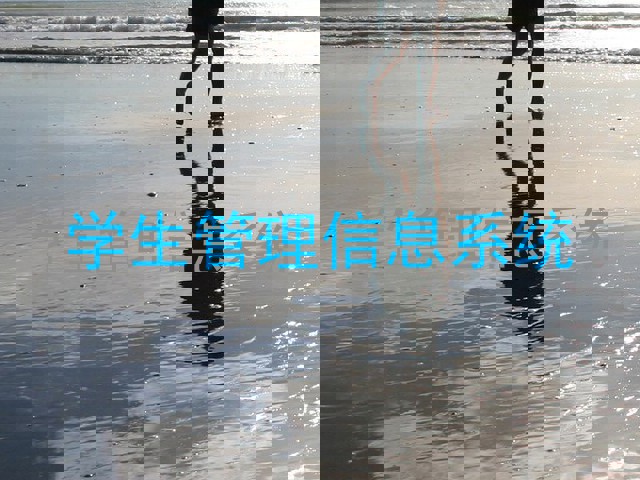 学生管理信息系统