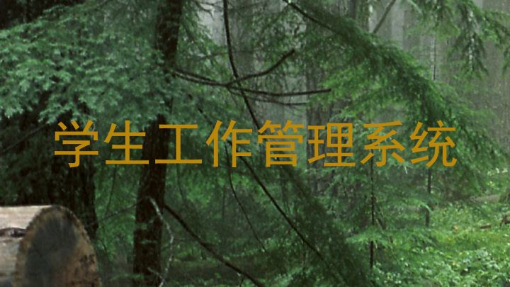 学生工作管理系统