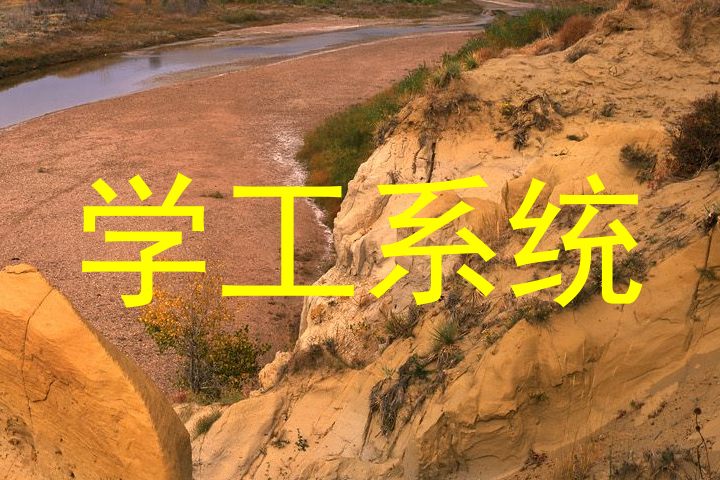 学工系统