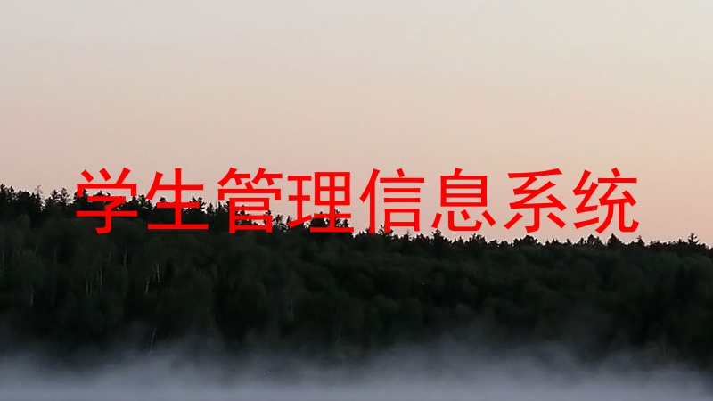 学生管理信息系统