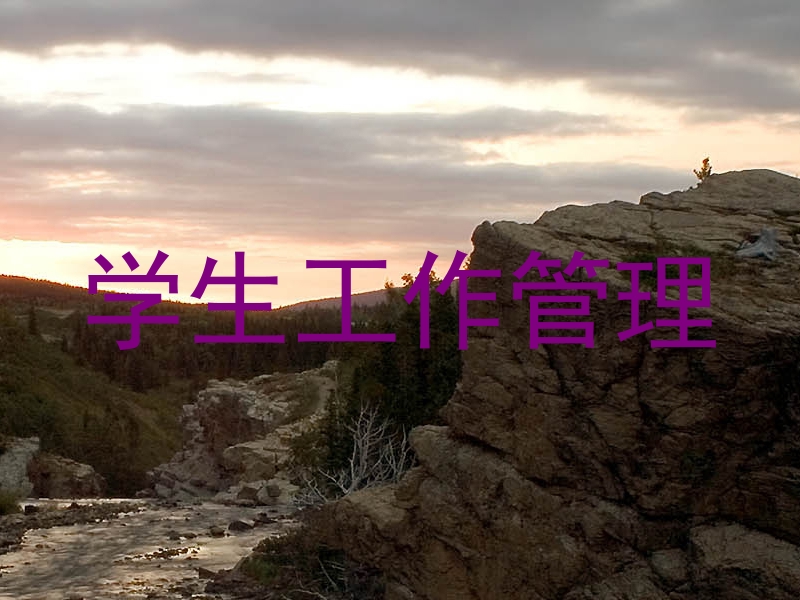 学生工作管理
