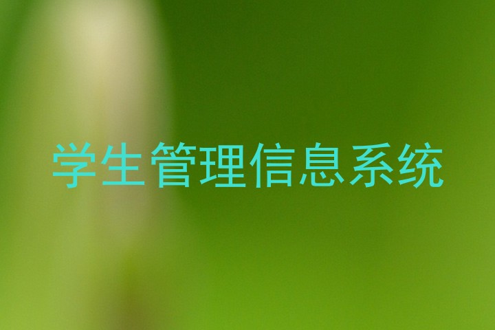 学生管理信息系统