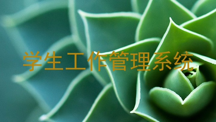 学生工作管理系统
