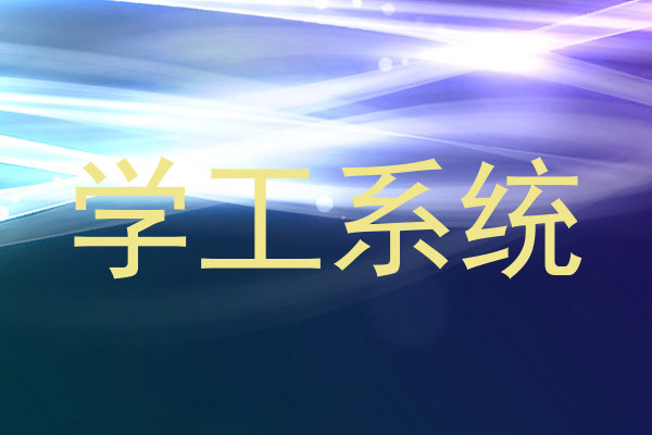 学工系统