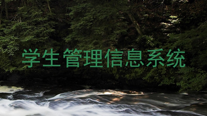学生管理信息系统