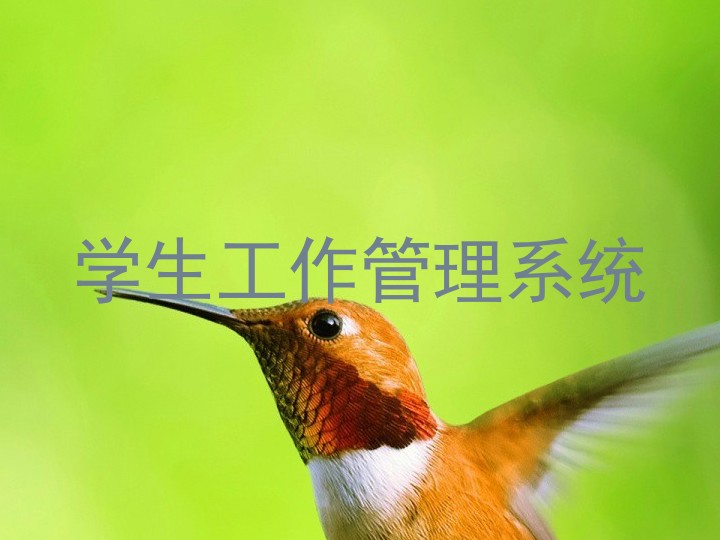 学生工作管理系统
