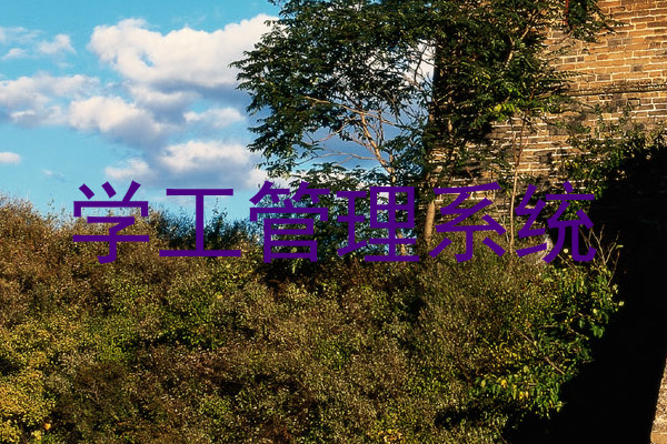 学工管理系统