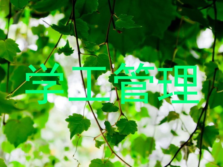 学工管理