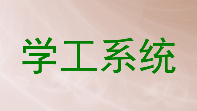 学工系统