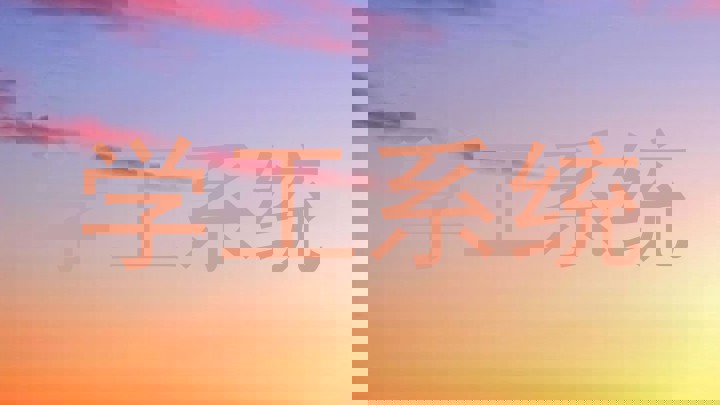 学工系统